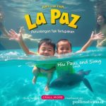 La Paz: Petualangan Tak Terlupakan – Berenang Bersama Hiu Paus dan Singa Laut!