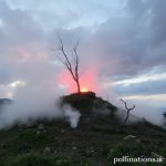 Real de Catorce: Menjelajahi Kota Hantu Pertambangan yang Magis di Meksiko