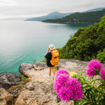 10 Makanan Khas Meksiko yang Wajib Dicoba: Lebih dari Sekadar Taco!