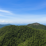 Rahasia Hidup Hemat di Meksiko: Tips dan Trik untuk Anggaran Terjangkau