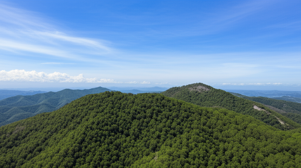 Rahasia Hidup Hemat di Meksiko: Tips dan Trik untuk Anggaran Terjangkau