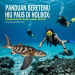 Panduan Bertemu Hiu Paus di Isla Holbox: Berenang Bersama Raksasa Lembut Meksiko