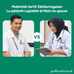 Sistem Kesehatan di Meksiko: Memilih yang Terbaik untuk Anda – IMSS vs. Asuransi Swasta