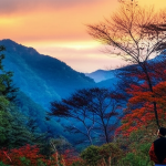 Rahasia Tersembunyi Kota Puebla: Lebih dari Sekadar Mole Poblano!