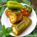Chiles Rellenos: Resep, Sejarah, dan Tips Membuat Cabai Isi Keju Goreng Otentik Meksiko