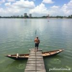 Tlacotalpan: Mengungkap Pesona Kota Pelabuhan Berwarna-warni di Veracruz