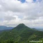 Charanda: Mengenal Lebih Dekat Rum Unik dari Michoacán, Meksiko