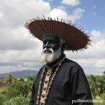 Keajaiban Barro Negro: Sejarah dan Penggunaan Tembikar Hitam Oaxaca yang Memukau