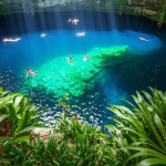 Menjelajahi Keajaiban Cenote: Permata Tersembunyi di Semenanjung Yucatan, Meksiko