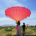 Merayakan Panen: Panduan Lengkap Festival Anggur (Vendimia) di Baja California