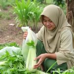 Panduan Lengkap Membuang Sampah dan Daur Ulang di Meksiko: Hidup Lebih Hijau!