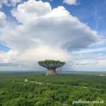 El Cielo Biosphere Reserve, Tamaulipas: Surga Tersembunyi di Meksiko
