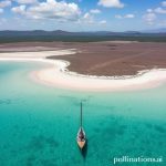 Laguna Coyuca: Surga Tersembunyi di Dekat Acapulco yang Wajib Anda Kunjungi