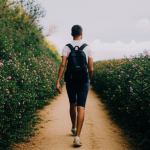 Petualangan Kuliner di Meksiko: Menjelajahi Rasa Otentik yang Memikat