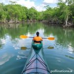 Berkayak di Antara Hutan Mangrove Celestún: Petualangan Ekowisata yang Tak Terlupakan