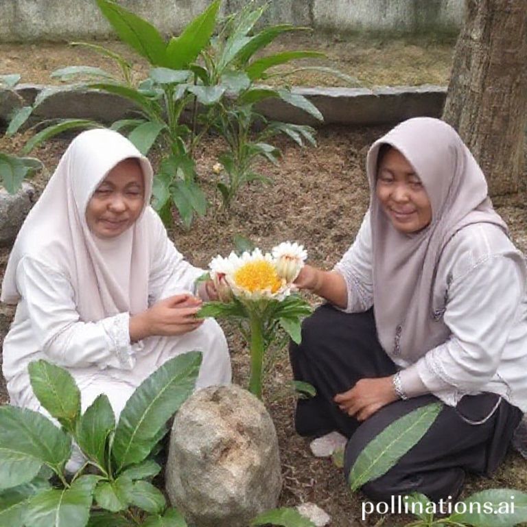 Morelia: Permata Kolonial Tersembunyi di Jantung Meksiko