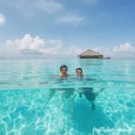 Berenang Bersama Raksasa Lembut: Pengalaman Tak Terlupakan dengan Hiu Paus di Isla Holbox