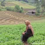 Menginap di Hacienda Bersejarah Meksiko: Pengalaman Tak Terlupakan