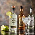 Tequila vs Mezcal: Mengungkap Perbedaan dan Mitos Ulat di Dalam Botol